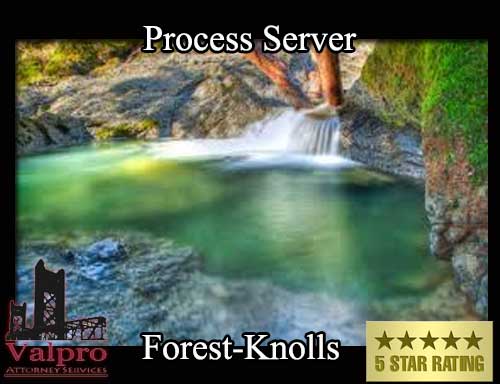 Process Server Forest Knolls