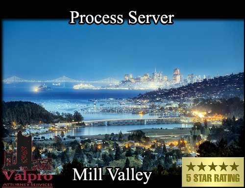 Process Server Mill Valley