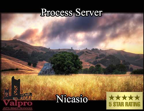 Process Server Nicasio