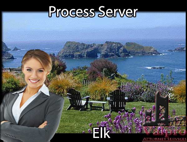Process Server Elk