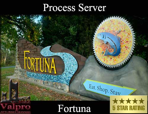 Process Server Fortuna