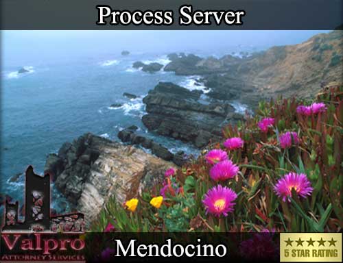 Process Server Mendocino