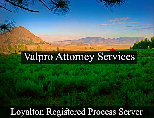 Registered Process Server Loyalton California