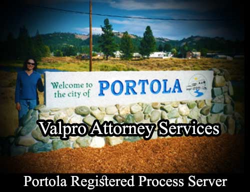 Registered Process Server Portola California