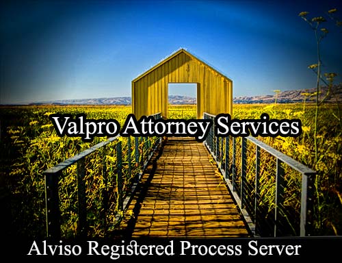Registered Process Server Alviso California