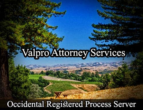 Registered Process Server Occidental California