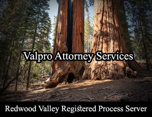 Registered Process Server Redwood Valley California