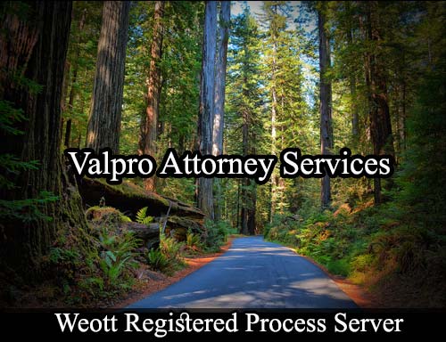 Registered Process Server Weott California