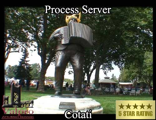 Process Server Cotati