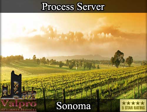 Process Server Sonoma