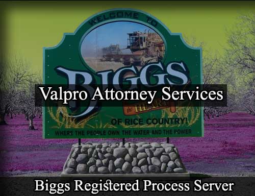 Registered Process Server in Biggs California