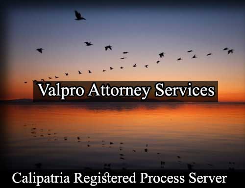 Registered Process Server Calipatria California