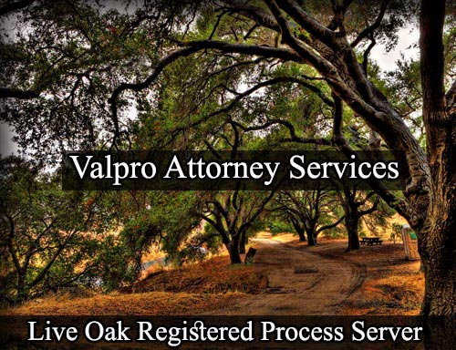 Registered Process Server Live Oak California