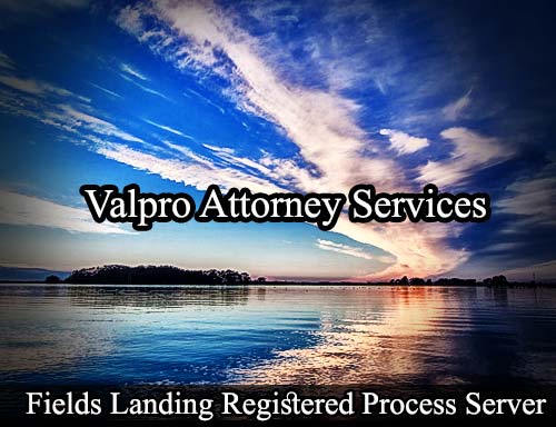 Registered Process Server Fields Landing California