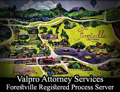 Registered Process Server Forestville California