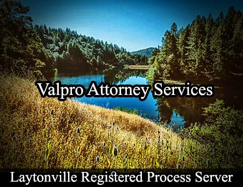 Registered Process Server Laytonville California
